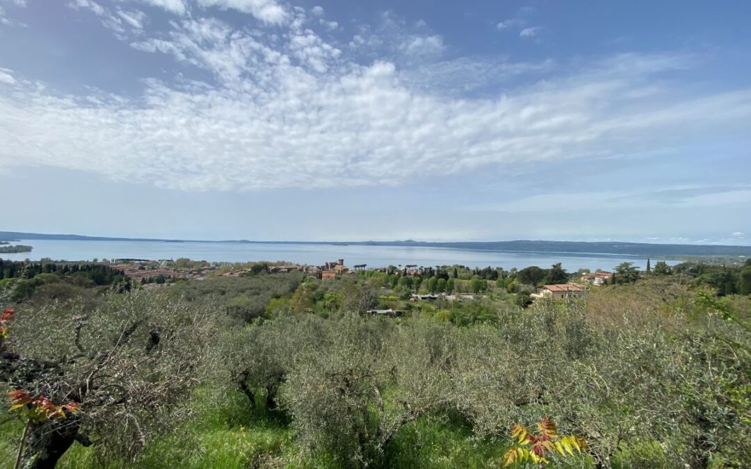 Viterbo aprile 2025