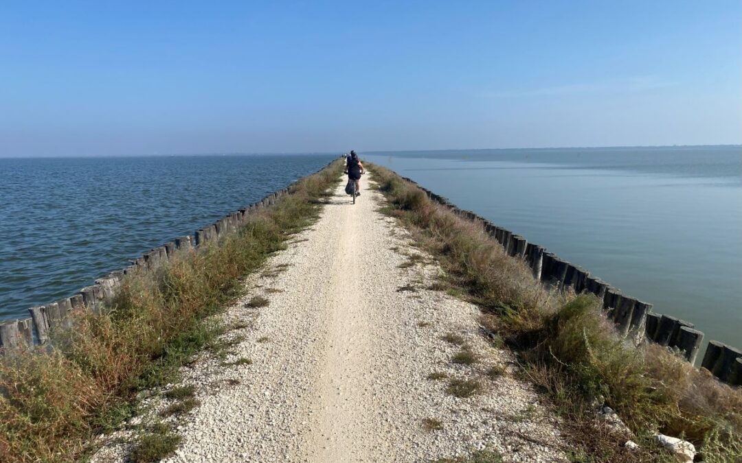 Valli di Comacchio ottobre 2023